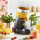 Exprimidor cítricos «Classic» Grís